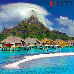 受孕屋第一季第一集免费
